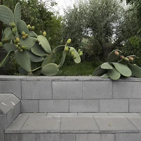 בית נופש Casetta Delle Rose Sull'etna