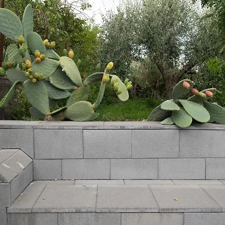 Dom wakacyjny Casetta Delle Rose Sull'etna *